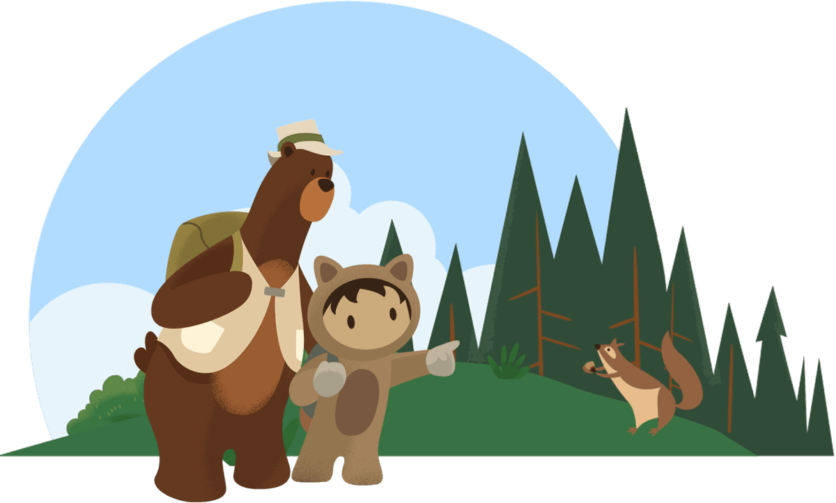 bear-salesforce